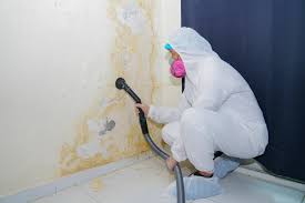 Best Emergency Mold Remediation  in Myrtle Grove, NC